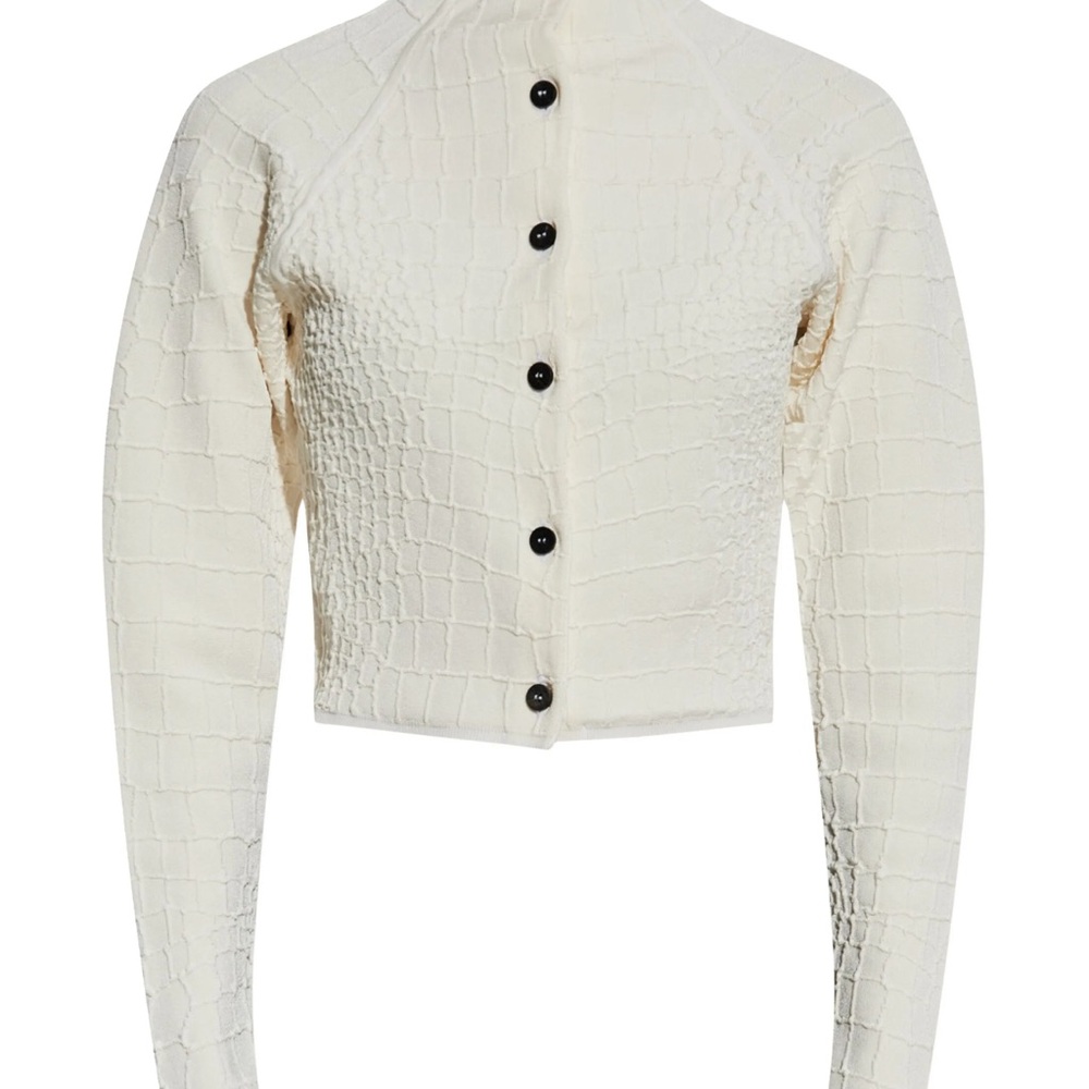 jacquemus croc jacket or snake jacket brand new